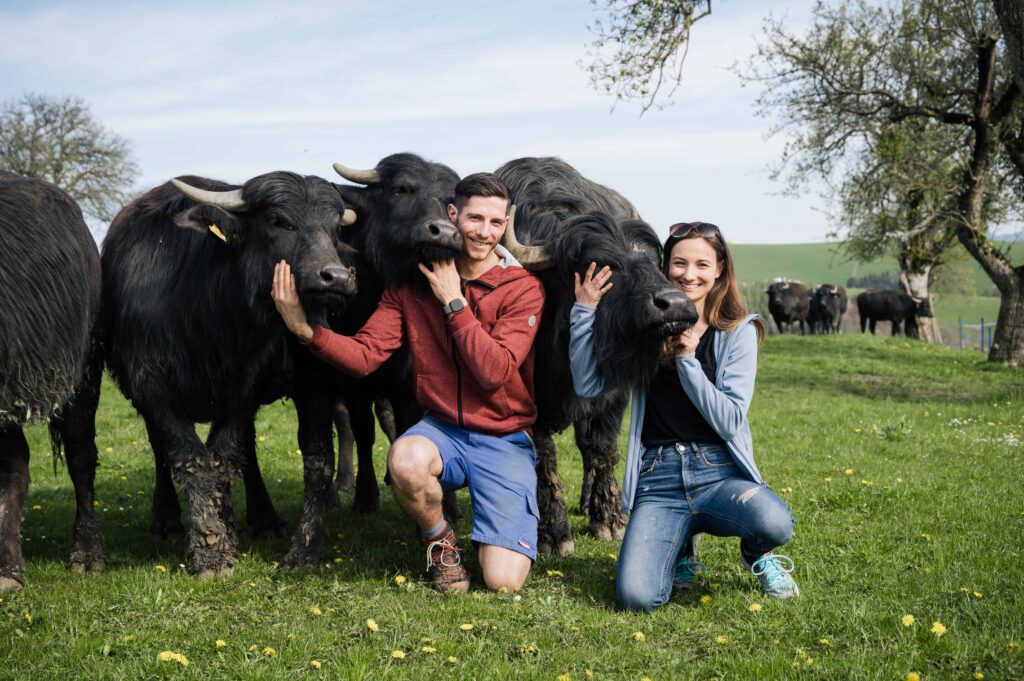 Mostviertler Wasserbüffel